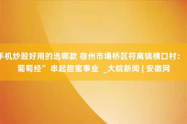 手机炒股好用的选哪款 宿州市埇桥区符离镇横口村：“葡萄经” 串起甜蜜事业  _大皖新闻 | 安徽网